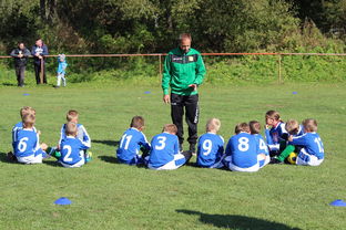 -中国篮球教练员技术战术创新能力提升路径，篮球教练发展